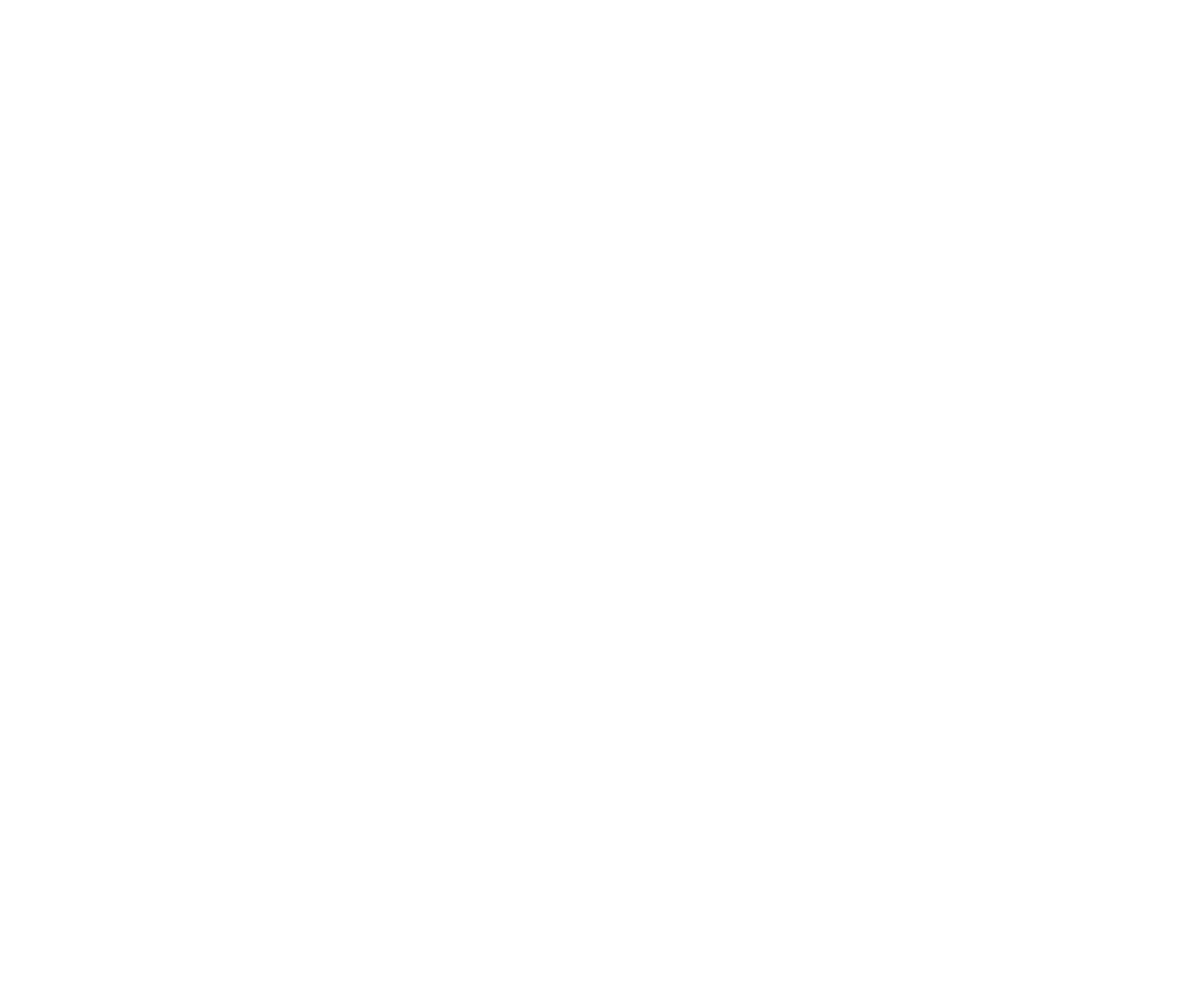 LOGO-Z2S version blancheeeee